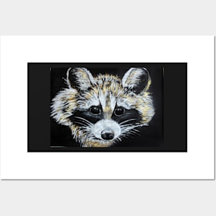 Raccoon Posters and Art